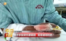 咬验真金：男孩意外咬碎50g金条，揭开黄金真面目