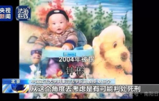 梅姨落网：跨国追捕背后的惊心动魄历程