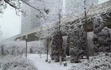 “京城飘雪再临：北京又又又要下雪了！”