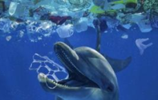 微塑料加速入侵大脑：揭示新型环境污染物对神经健康的潜在威胁