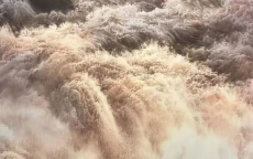 380万元被泼墨画作已初步修复