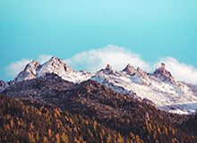 陈雪凝老公称与孩子母亲已妥善结束